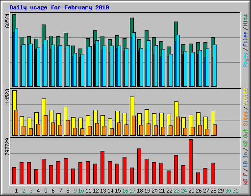 Daily usage for February 2019