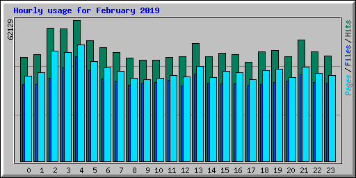 Hourly usage for February 2019