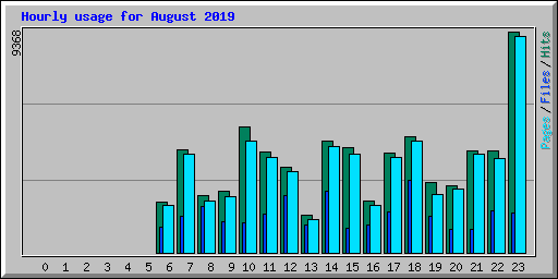 Hourly usage for August 2019