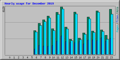 Hourly usage for December 2019