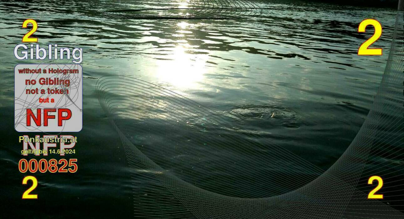 Scaled image 2er000825.jpg 