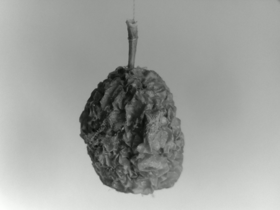 Skaliertes Bild 202004131115.jpg 