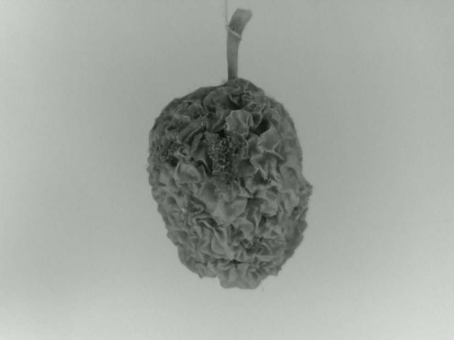 Skaliertes Bild 202010191415.jpg 