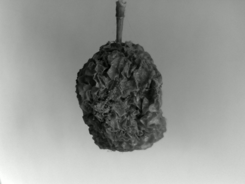Skaliertes Bild 202201220815.jpg 